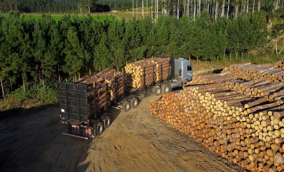 Mercado e Certificados